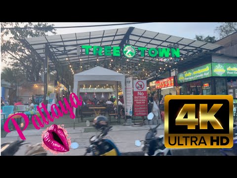 Pattaya Soi Buakhao Tree Town